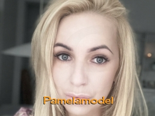 Pamelamodel