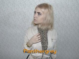 Panthergrey
