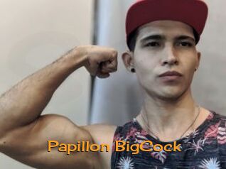 papillon_BigCock Sortez Couvert