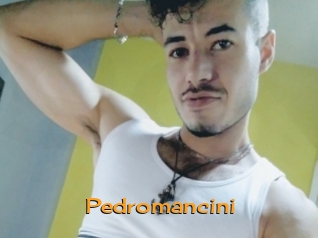 Pedromancini
