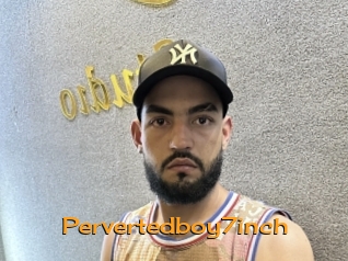 Pervertedboy7inch