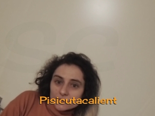 Pisicutacalient