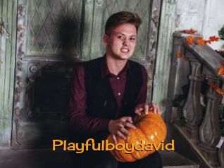 Playfulboydavid
