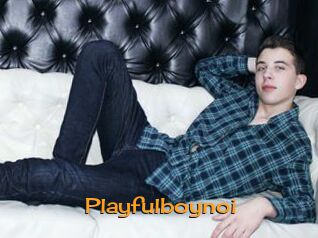 Playfulboynoi
