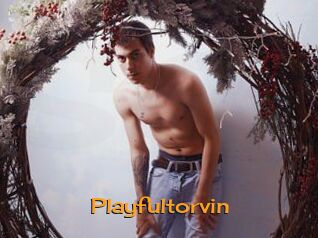 Playfultorvin