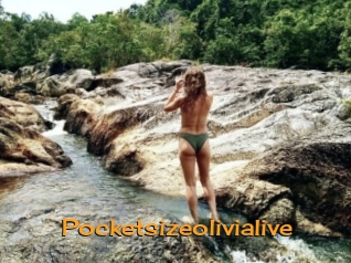 Pocketsizeolivialive