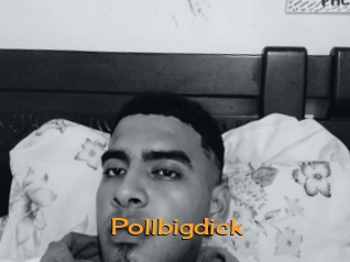 Pollbigdick