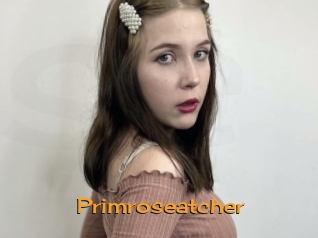 Primroseatcher