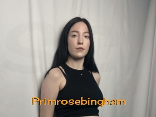 primrosebingham Sortez Couvert