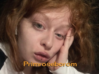 Primroseborom