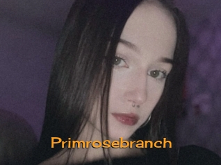 Primrosebranch