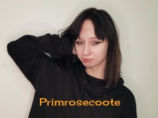 Primrosecoote