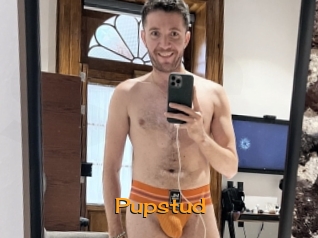 Pupstud
