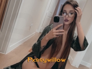 Pxssywillow