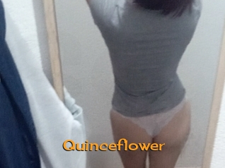 Quinceflower