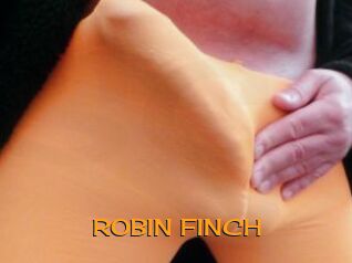 ROBIN_FINCH