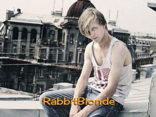 RabbitBlonde