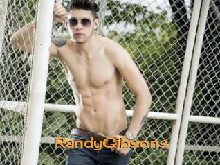 RandyGibsons