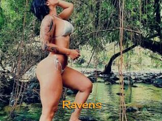 Ravens