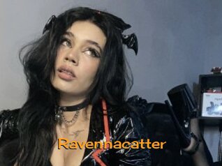 ravennacatter Sortez Couvert