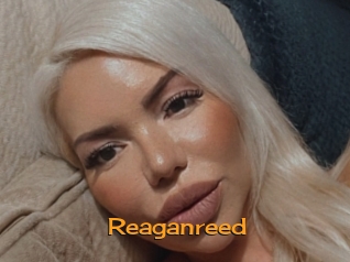 Reaganreed