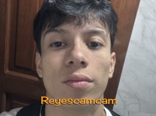 reyescamcam Sortez Couvert