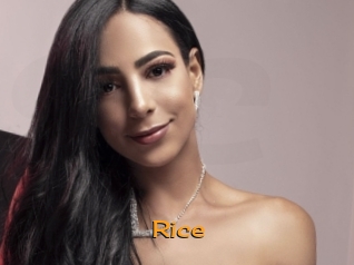 Rice
