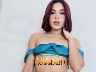 roseball Sortez Couvert