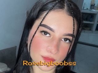Rosebigboobss