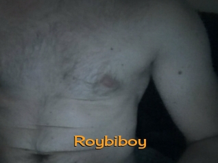 roybiboy Sortez Couvert
