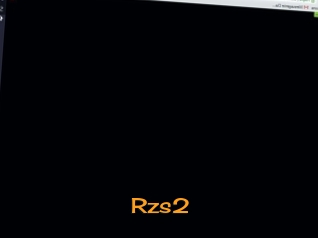Rzs2