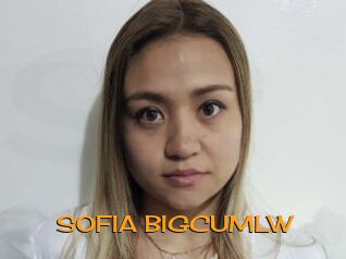 SOFIA_BIGCUMLW