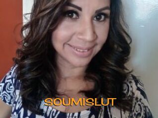 SOUMISLUT