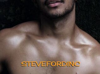 STEVEFORDINC