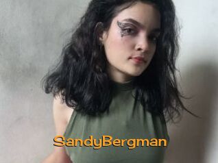 SandyBergman