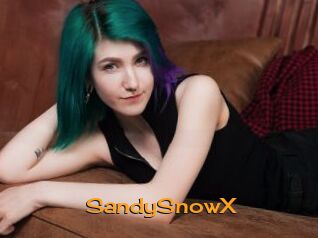 SandySnowX