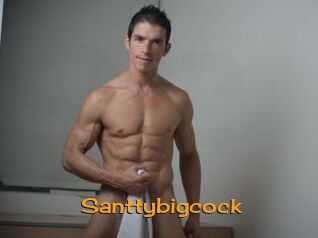 Santtybigcock