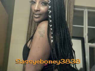 Sassyeboney3838