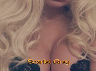 Scarlet_Grey