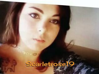 Scarletrose19