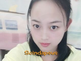 Scindapsus
