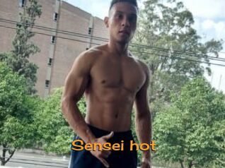 Sensei_hot