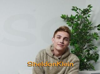 SheldonKlein