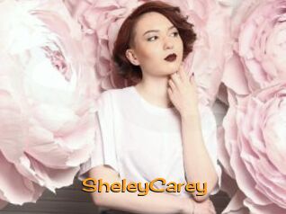 SheleyCarey