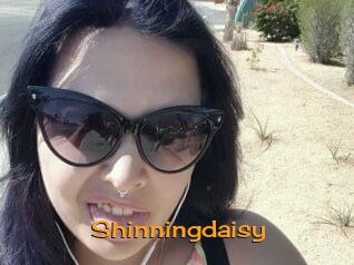 Shinningdaisy