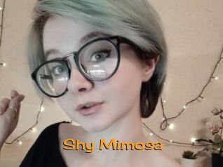 Shy_Mimosa