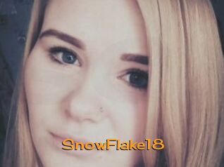 SnowFlake18