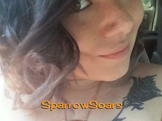 SparrowSoars