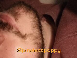 Spinelesspoppy