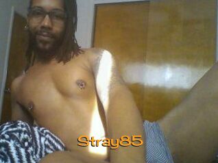 Stray85